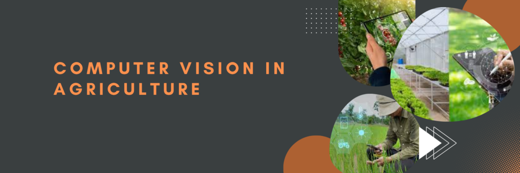 Computer Vision in Agriculture